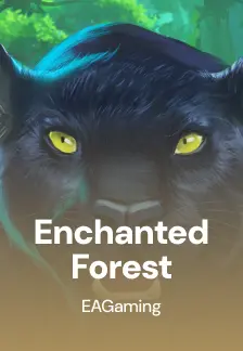Enchanted Forest